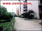 www.xsmm.com