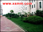 www.xsmm.com