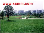 www.xsmm.com