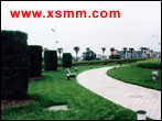 www.xsmm.com