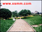 www.xsmm.com